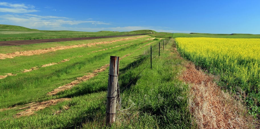 North Dakota Prairie Farmlands